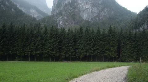 Forest clearing in Austria, Obertraun. Vidéo 52009289