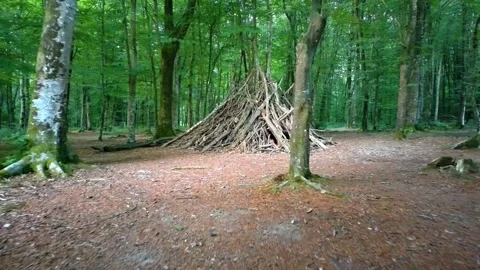 Forest Clearing With Branch Shelter Stock-Footage 314822971