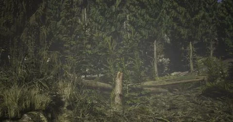 Forest clearing with fallen trees and dense greenery during daytime Stock Illustration