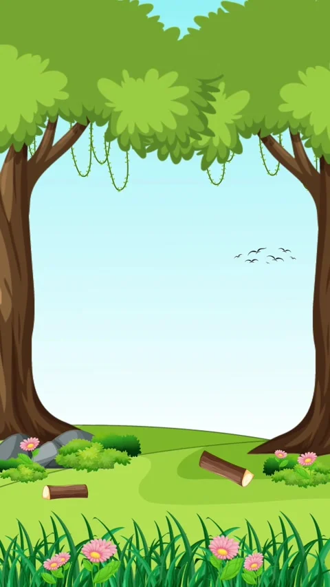 Forest Clearing Illustration with Trees and Greenery. Stock Footage 320588016