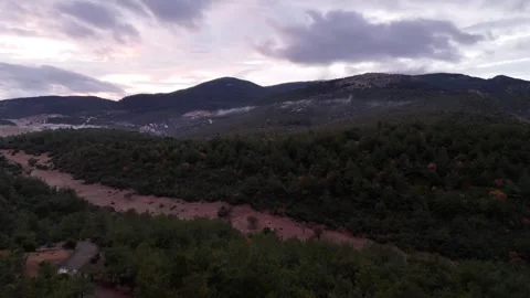 Forest Clearing at Sunset after the Rain (Aerial Shot) Stock Footage 300666627