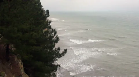 Forest on cliff above sea surface Stock Footage 63379770