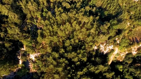 Forest on the Cliff Aerial View Stock Footage 130112649