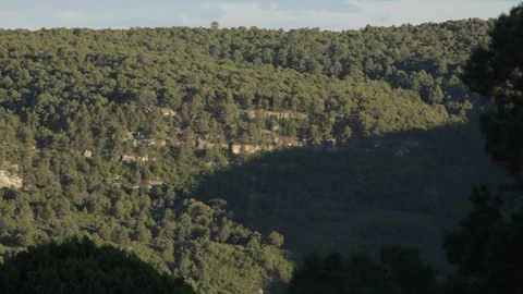 Forest with cliffs in New Mexico mountain Stock Footage 104877115