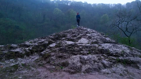 Forest climb mist 스톡 동영상 244309068