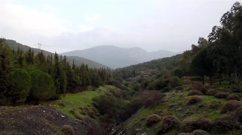 Forest On The Cloud Move Vídeos de archivo 56095083