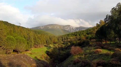 Forest On The Cloud Move Vídeo Stock 56134124