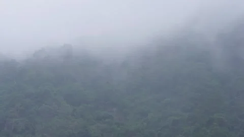 Forest , clouds passing , timelapse Stock Footage 259457171