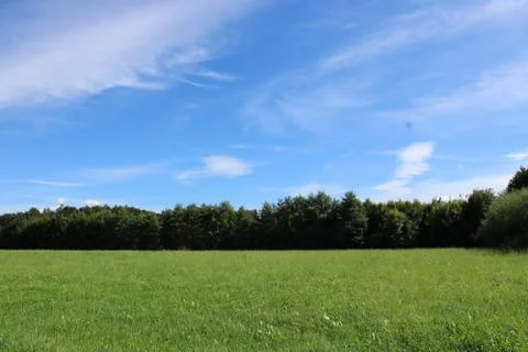 Forest with clouds in the sky. Stock Photos