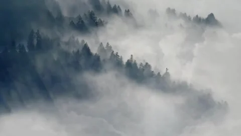 Forest Cloudscape: Nature's Enchantment Stock Footage 275608057