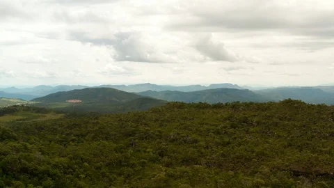 Forest on a cloudy day Aerial drone shot 4k Stock Footage 102553462