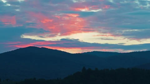 Forest on cloudy sky background. 4K. FULL HD, 4096x2304. Stock Footage 34595537
