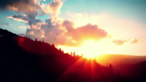 Forest on cloudy sky background 4K Stock Footage 228769501