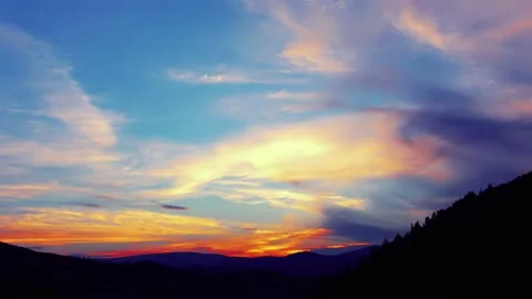 Forest on cloudy sky background 4K Stock Footage 233968215