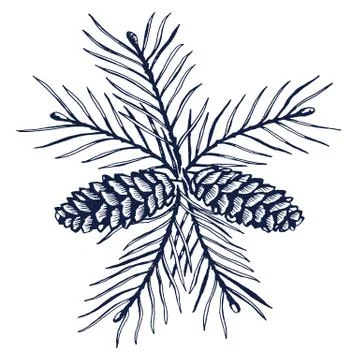 Forest collection  cones Stock Illustration