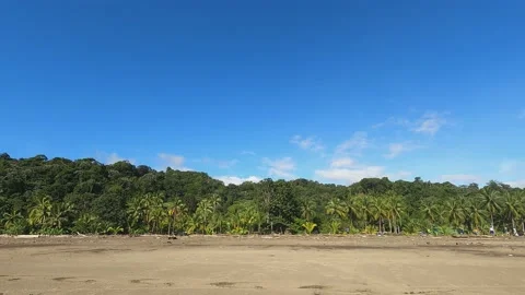 Forest. Colombian Pacific Ocean. Choco Stock Footage 161930903