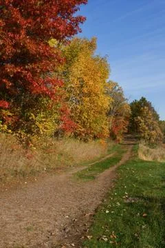 Forest colors in the fall in hdr Stock Photos