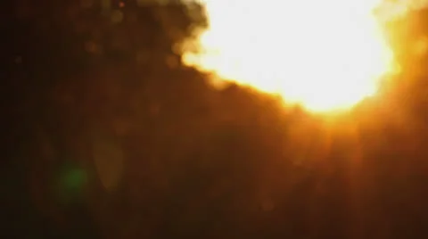 Forest Concept 스톡 동영상 22843926