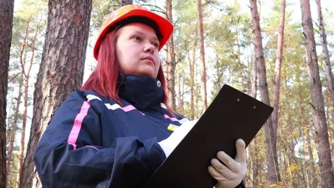 Forest conservation expert conducting research in a serene woodland area Stock Footage 295248737