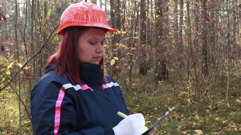 Forest conservation expert conducting survey in autumn woods 스톡 동영상 295248905