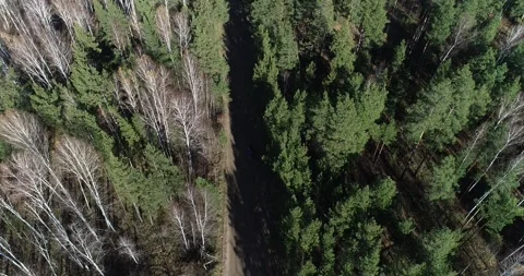Forest from a copter Stock Footage 270073109