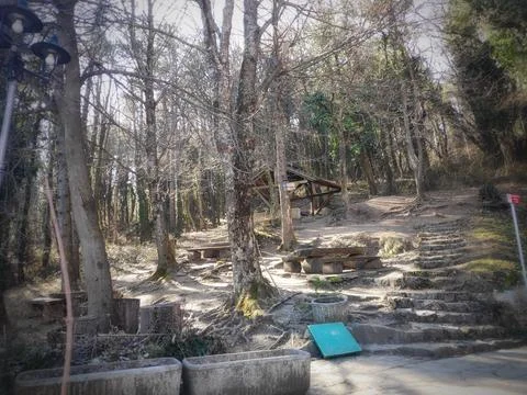 Forest Corner – Rest in Nature 스톡 사진