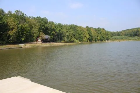 Forest cottage Stock Photos