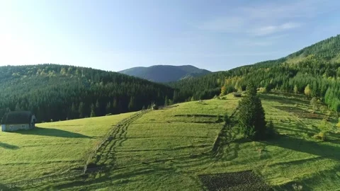 Forest cover valley, nice landscape with blue sky Stock Footage 321428306