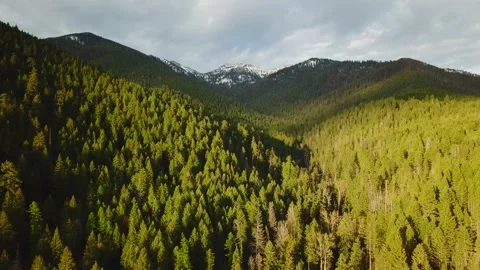Forest Covered and Snow Capped Mountaintop at Dusk Video stock 134435933