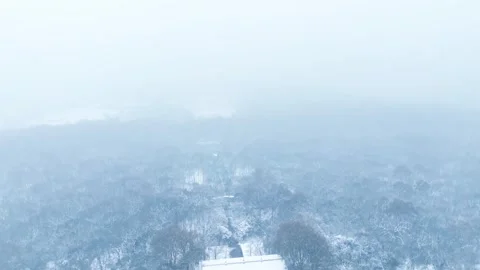 Forest Covered By Heavy Snow in Winter 4K Aerial Stock Footage 320275699