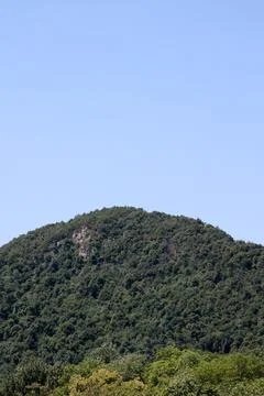 Forest covered hill under a clear blue sky Fotos de archivo