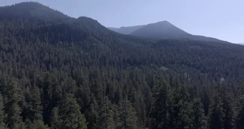 Forest-Covered Hills and Valley Under Clear Blue Sky Stock Footage 294729543