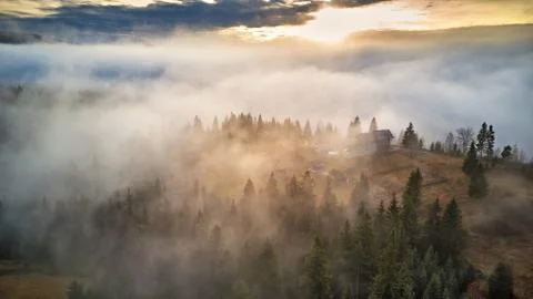 Forest covered by low clouds. Misty fall woodland. Picturesque resort Carpath Stock Photos
