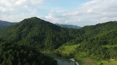 Forest covered mountain landscape Stock Footage 235915669