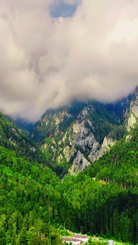 Forest covered mountain peaks under heavy clouds, Romania Vertical video. Stock Footage 342928731