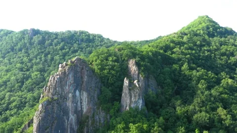 Forest covered mountain slopes. Stock Footage 159543560