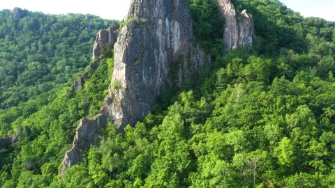 Forest covered mountain slopes. Stock Footage 159952919