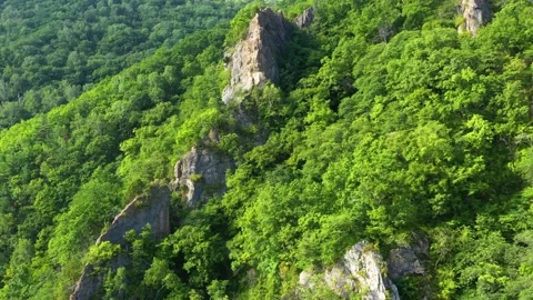 Forest covered mountain slopes. Stock Footage 164521442