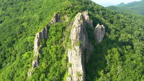 Forest covered mountain slopes. Stock Footage 165030188
