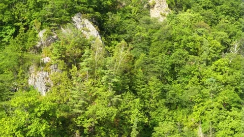 Forest covered mountain slopes. Stock Footage 166186645