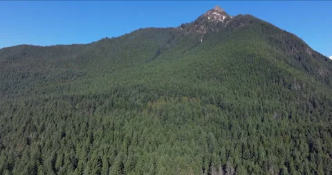 Forest-Covered Mountain Under Blue Sky Stock Footage 288970647