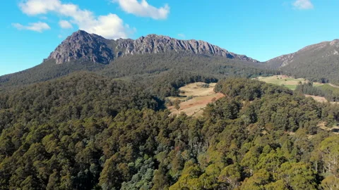 Forest Covered Mountains  Stock Footage 154523544