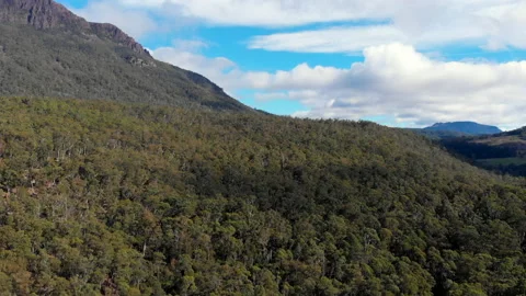 Forest Covered Mountains  Stock Footage 154524107