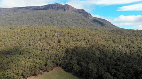 Forest Covered Mountains  Stock Footage 154525770