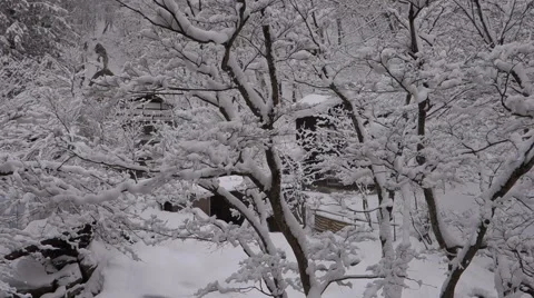 Forest covered by snow in Japan Видео 47790863