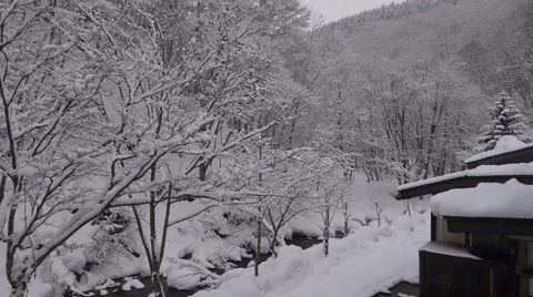 Forest covered by snow in Japan Видео 47790916
