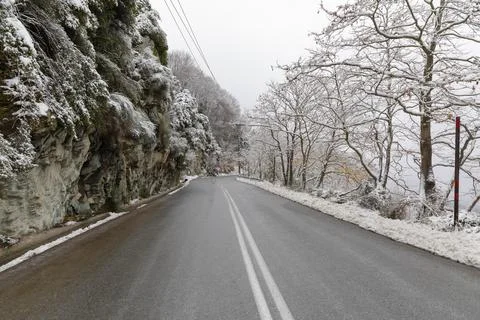 Forest covered with snow Stock Photos