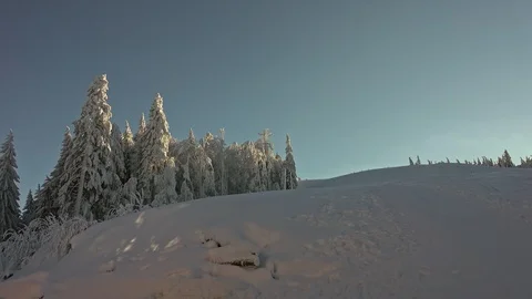 Forest Covered by Snow in Winter Landscape Stock Footage 100823807