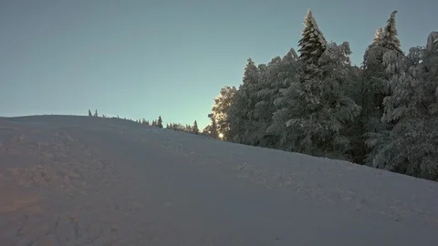 Forest Covered by Snow in Winter Landscape Stock Footage 100824116
