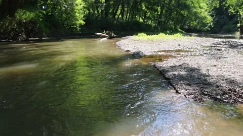 Forest Creek 3 Stock Footage 198747040
